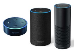 alexa voice search internet device