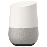 Google Home Internet Search